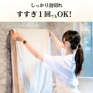 訳あり ポイント消化 送料無 500円 お試し...の詳細画像5
