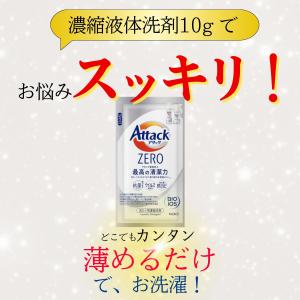 訳あり ポイント消化 送料無 200円 お試し...の詳細画像4