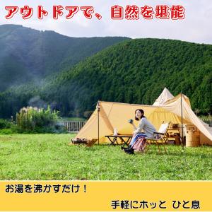 ポイント消化 200円 訳あり 個包装 お試し...の詳細画像4