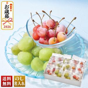 冬 山形県産 冷凍さくらんぼ（佐藤錦）＆冷凍シャインマスカット 高級 フルーツ