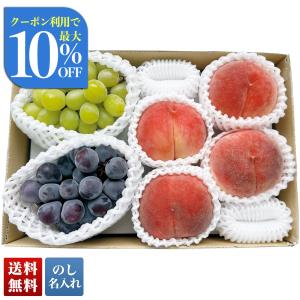 干し柿 甲州百目柿 ころ柿 枯露柿 山梨県産 特1号(大箱) 12〜20個入 約