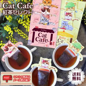 紅茶 ティー tea ネコ キャットティー カフェ ルイボスティー アールグレイ セット Cat Cafe 紅茶セレクト 「CCT」の商品画像