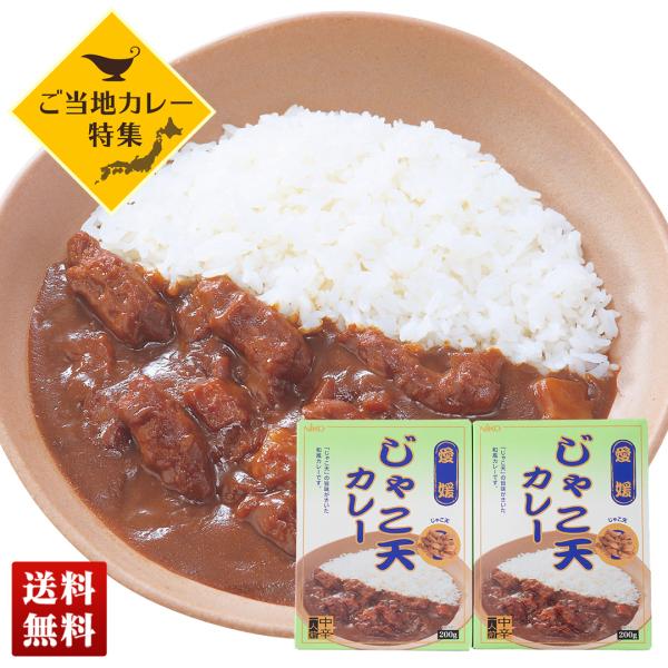 ご当地カレー 愛媛じゃこ天カレー 2食セット 詰合せ セット 和風カレー 中辛 200g×2 カレー...