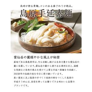 訳あり 大特価 無選別・不揃いの為 島原素麺 ...の詳細画像5
