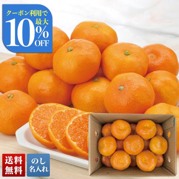 早割 お中元 御中元 夏ギフト プレゼント 2026 送料無料 JAからつ ハウスみかん C13-1