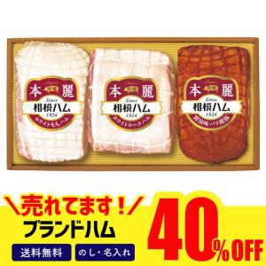 お歳暮 御歳暮 2021 セール ギフト ハム 肉 送料無料 ハム ハムギフト 詰め合わせ 相模ハム　本麗ギフト「SR-600」