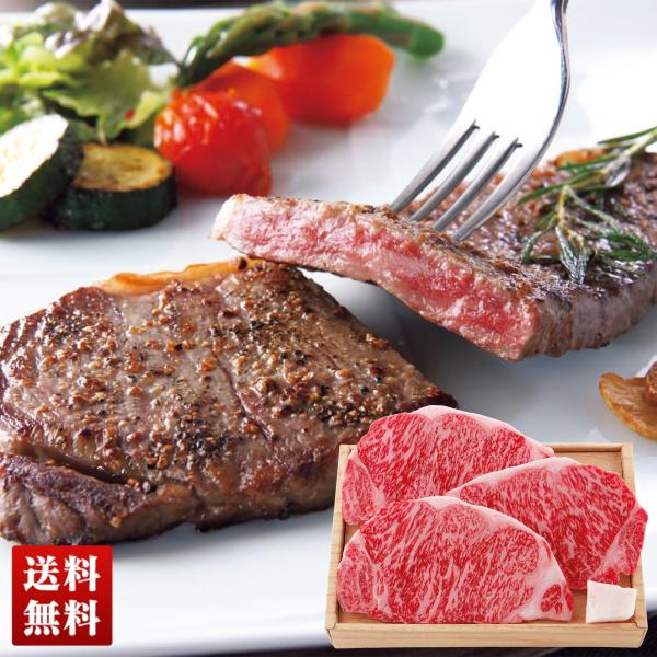 冬ギフト プレゼント送料無料 飛騨牛 サーロイン ステーキ用 150g×3 和牛 岐阜県 ブランド牛...