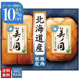 北海道プレミアム お中元 御中元 2026 ハム ギフト セット ロースハム