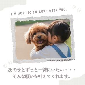 遺毛 キーホルダー メモリアル 手元供養 思い...の詳細画像1