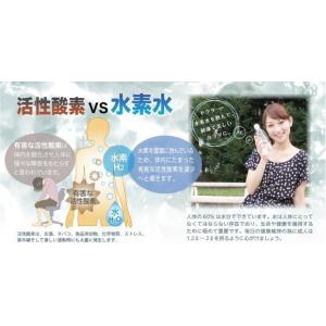 【水素水発生スティック】3本入(1本3ヶ月タイ...の詳細画像3
