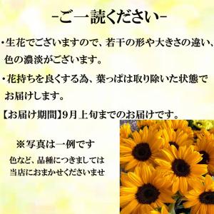 ひまわり 花束 10本 国産高品質 クール便無...の詳細画像5