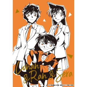 謎解き作品　名探偵コナン謎ファイル　コナン＆蘭＆世良ver　制作ニチョ謎