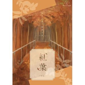 謎解き作品 紅葉4作品セット・400円引き N...の詳細画像2
