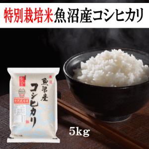 コシヒカリ 送料無料 令和6年産 特別栽培米魚沼産コシヒカリ コシヒカリ 送料無料 令和6年産 特別栽培米魚沼産コシヒカリ