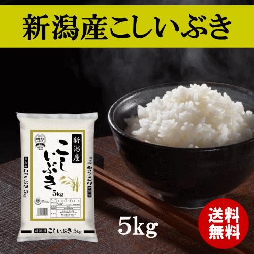 令和７年産 新潟産こしいぶき ５ｋｇ 送料無料 おこめ 精米 新潟