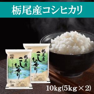 コシヒカリ 令和7年産 特別栽培米魚沼産コシヒカリ 10kg（5kg