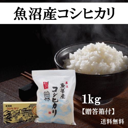 令和７年産 魚沼産コシヒカリ １ｋｇ (ご贈答箱付) おこめ 精米 新潟　　