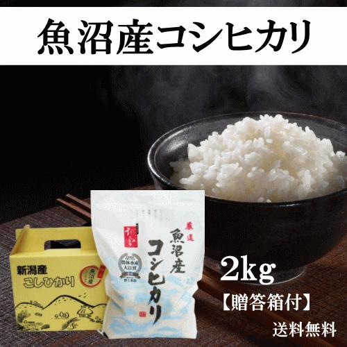 令和７年産 魚沼産コシヒカリ ２ｋｇ(ご贈答箱付) おこめ 精米 新潟　　