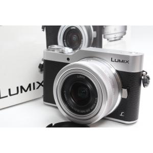 ミラーレス一眼 Panasonic パナソニック LUMIX GF9 レンズキット シルバー 4K動画 Wi-Fi 自撮り｜nogi-camerayshop