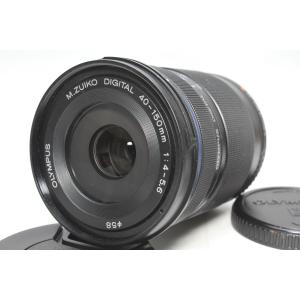 ニコン（Nikon） 望遠レンズ AF-S DX NIKKOR 55-300mm f/4.5-5.6G ED