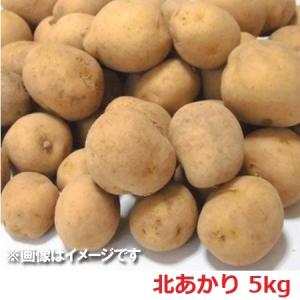 訳あり じゃがいも 北海道 きたあかり 北湯沢産(北海道