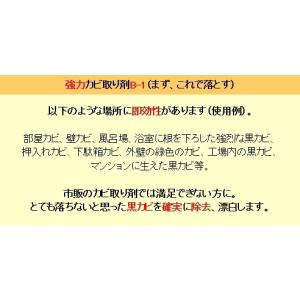 カビ取り剤 浴室 お風呂場の黒カビ取り 超強力...の詳細画像5