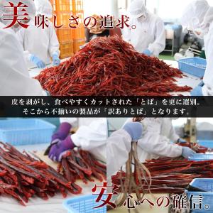 鮭とば 訳あり 北海道産 鮭とば 300g(1...の詳細画像5