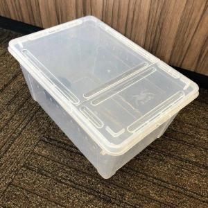 アクリル 爬虫類 飼育ケース 【縦型タイプ】 昆虫飼育ケース クモ