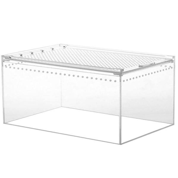 アクリル 爬虫類 飼育ケース 【Mサイズ】 昆虫飼育ケース クモ サソリ ヤモリ ヘビ カメ クワガ...