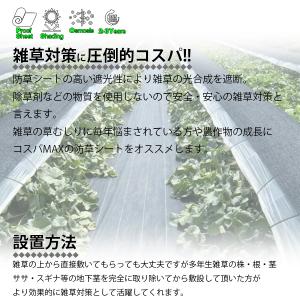 防草シート 黒 1m×50m 1巻 厚さ0.3...の詳細画像1