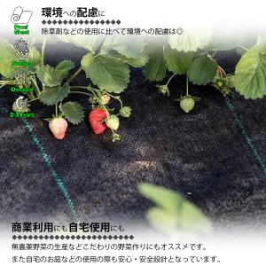 防草シート 黒 1m×50m 1巻 厚さ0.3...の詳細画像5