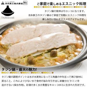池永鉄工 1671101 IHタジン鍋20cm...の詳細画像1