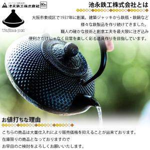 池永鉄工 1671101 IHタジン鍋20cm...の詳細画像4