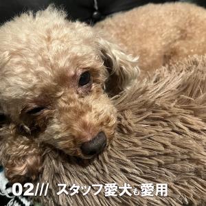 在庫処分品 ペット用ベッド 50cm 可愛い ...の詳細画像2