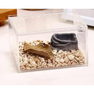 アクリル 爬虫類 飼育ケース 【Sサイズ】 昆...の詳細画像2