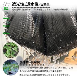【予約販売 4/28入荷】 防草シート 黒 1...の詳細画像2
