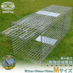 捕獲器 猫 アニマルトラップ トラップ 【LLサイズ】 駆除 捕獲