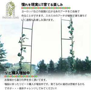 ガーデンアーチ アーチ アイアン ゲート バラ...の詳細画像2