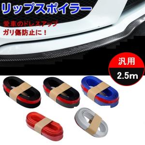 車 リップスポイラー 汎用 2 5m ゴム アンダーリップ サイドシル バンパー エアロパーツ モール カーボン調 ドレスアップ ガリ傷防止 Lb 44 Lb 44 A 株式会社リブレ 通販 Yahoo ショッピング