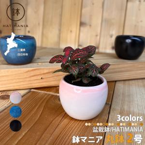 毛筆細字、ミニ鉢、盆栽鉢、盆栽小鉢、鉢、植木鉢、山野草鉢、蘭鉢、盆栽、九谷焼 盆栽鉢 九谷焼 白粒鉄仙 4号 幅12.5cm×高さ7.8cm 陶器鉢 陶器 ミニ盆栽