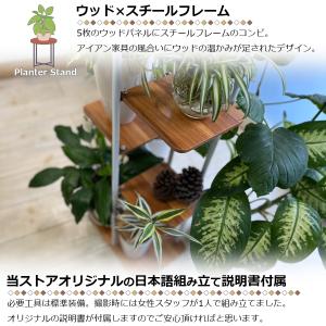 フラワースタンド 5段 花台 鉢置き 園芸ラッ...の詳細画像1