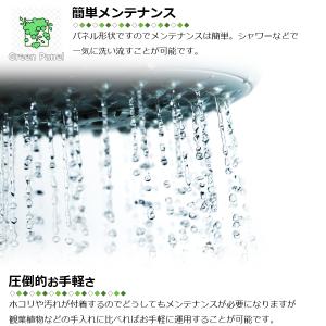壁掛け グリーンパネル 50×50cm 1枚 ...の詳細画像5