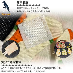 鳥用おむつ Sサイズ 鳥服 鳥用品 インコ オ...の詳細画像3