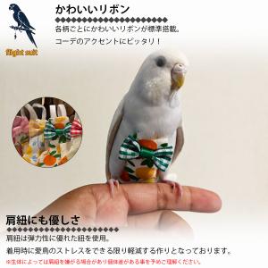 鳥用おむつ Sサイズ 鳥服 鳥用品 インコ オ...の詳細画像4