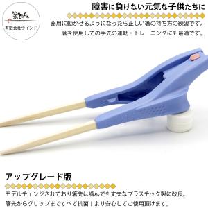 箸ぞうくん mini ミニ 子供用 箸 右手用...の詳細画像3
