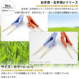 箸ぞうくん mini ミニ 子供用 箸 右手用...の詳細画像4