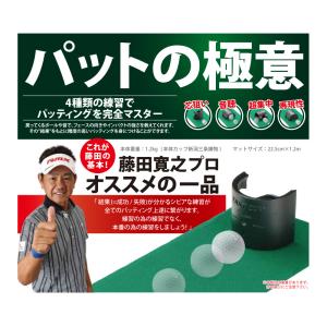 GravityFit Swing Kit スイングキット ゴルフ スイング 練習 器具 矯正