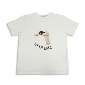 【s50】エフィレボル .efiLevol LA...の商品画像
