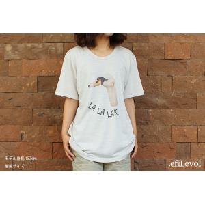 【s50】エフィレボル .efiLevol L...の詳細画像1