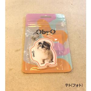 【s40】【ナナナナサーカ / 77circa...の詳細画像3